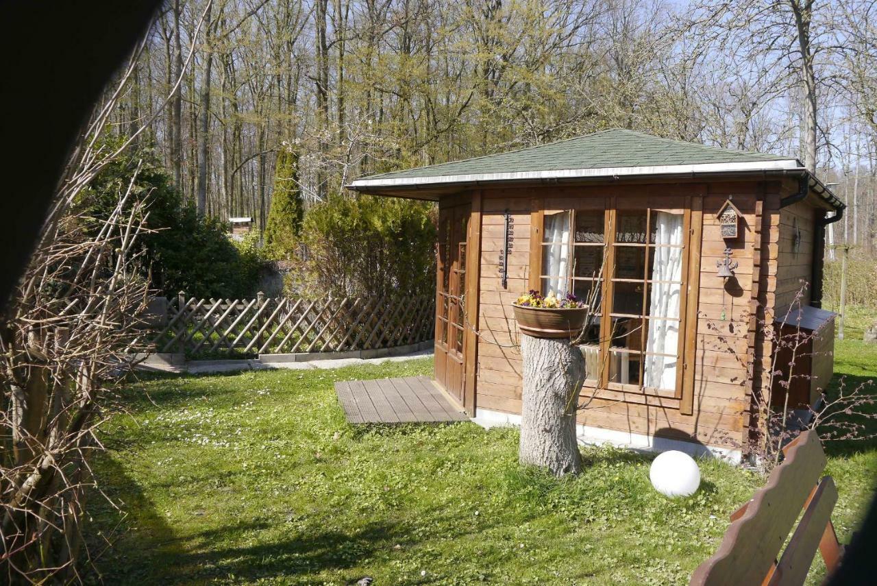 Wohnung 1 Ostseebad Nienhagen Exterior photo